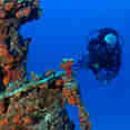 Diving