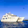 Treasure of Galapagos