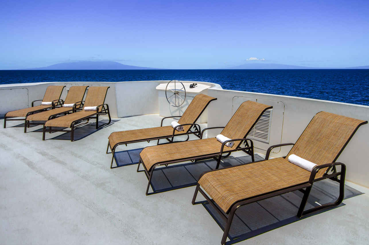 Terraza - Treasure of Galapagos