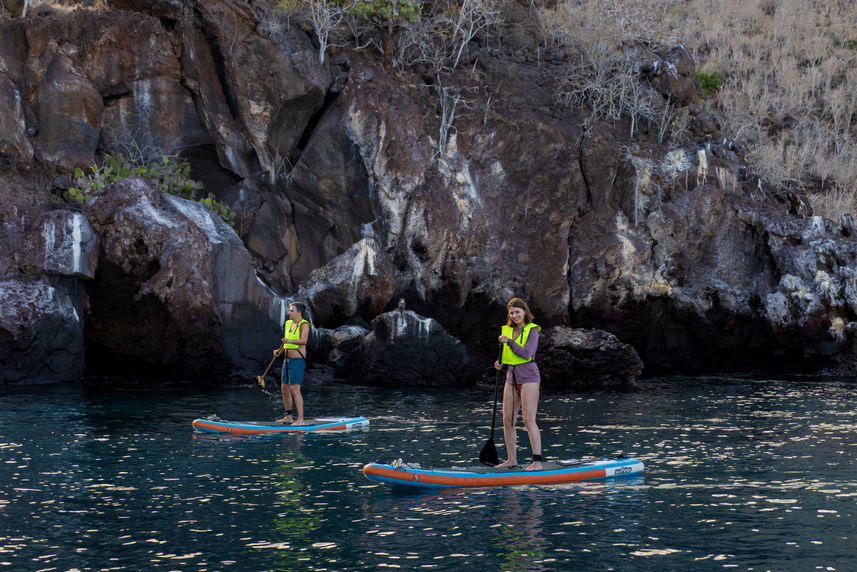 Stand Up Paddle