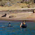 Snorkeling