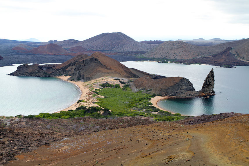 Isla Bartolome Galapagos