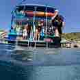 Dive Platform - Dolphin Queen