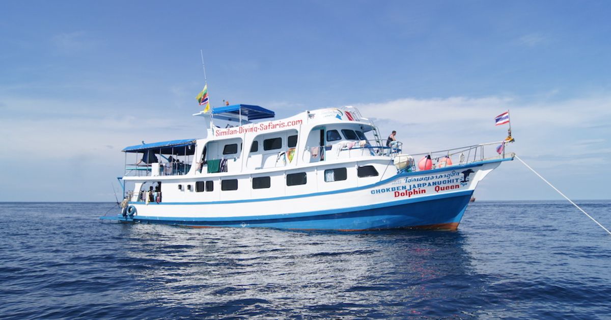 Dolphin Queen — vessel photograph