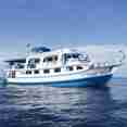 Dolphin Queen