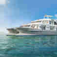 Alia Galapagos
