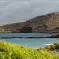 Galapagos Islands