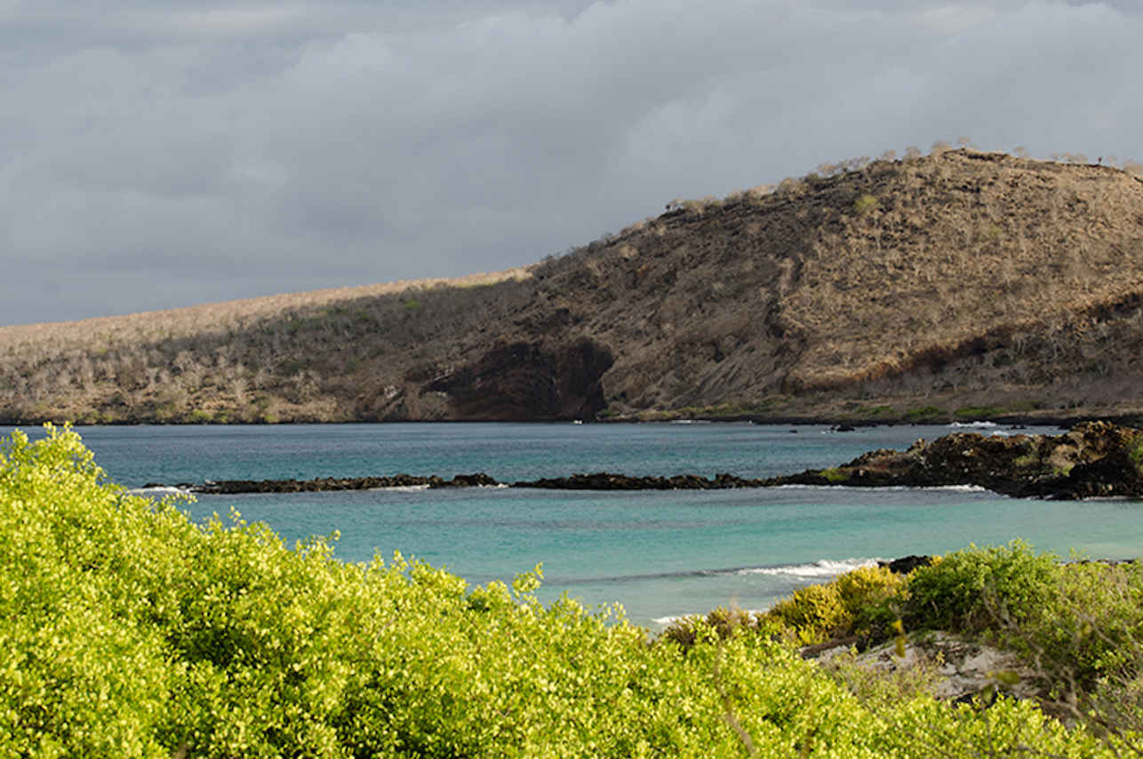 Galapagos Islands