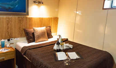 Lower Deck Cabins