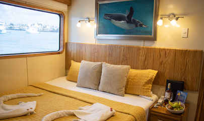 Main Deck Cabins