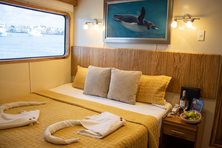 Main Deck Cabins