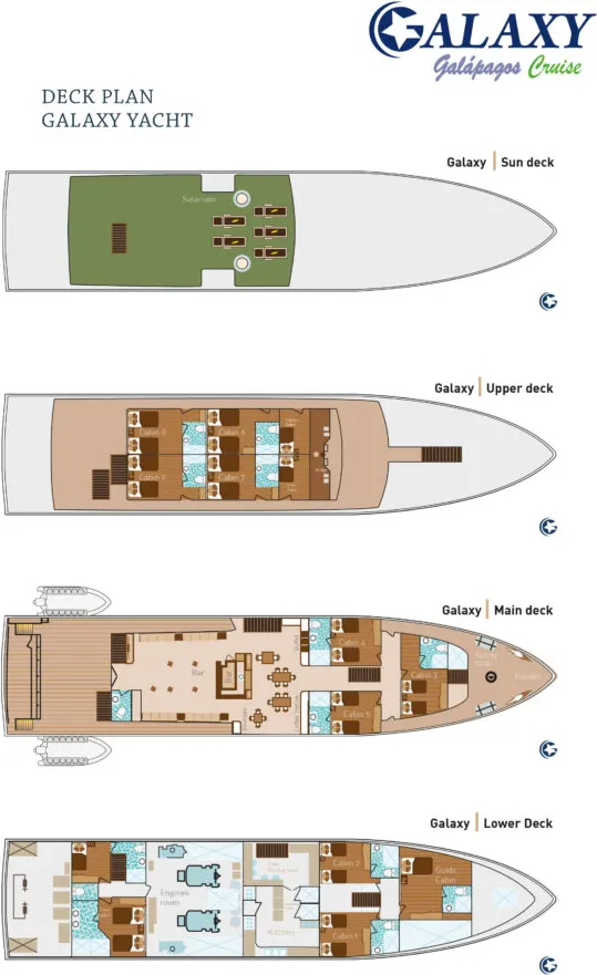 disposizione del ponte