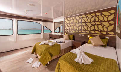 Upper or Main Deck Cabins