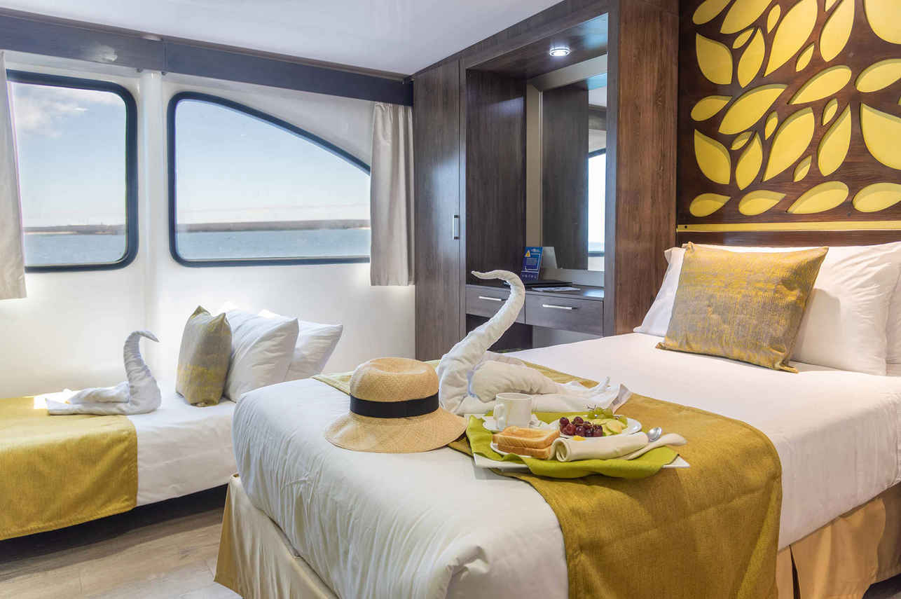 Upper or Main Deck Cabin