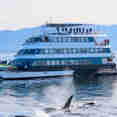 Alaskan Dream
