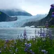 Mendenhall Glacier & Lupines