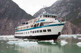 Baranof Dream