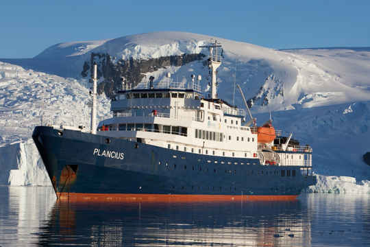 Plancius Antarctica