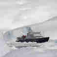 Plancius Antarctica