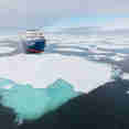 Plancius Antarctica