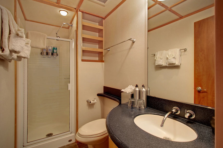 Admiral Staterooms Bathroom