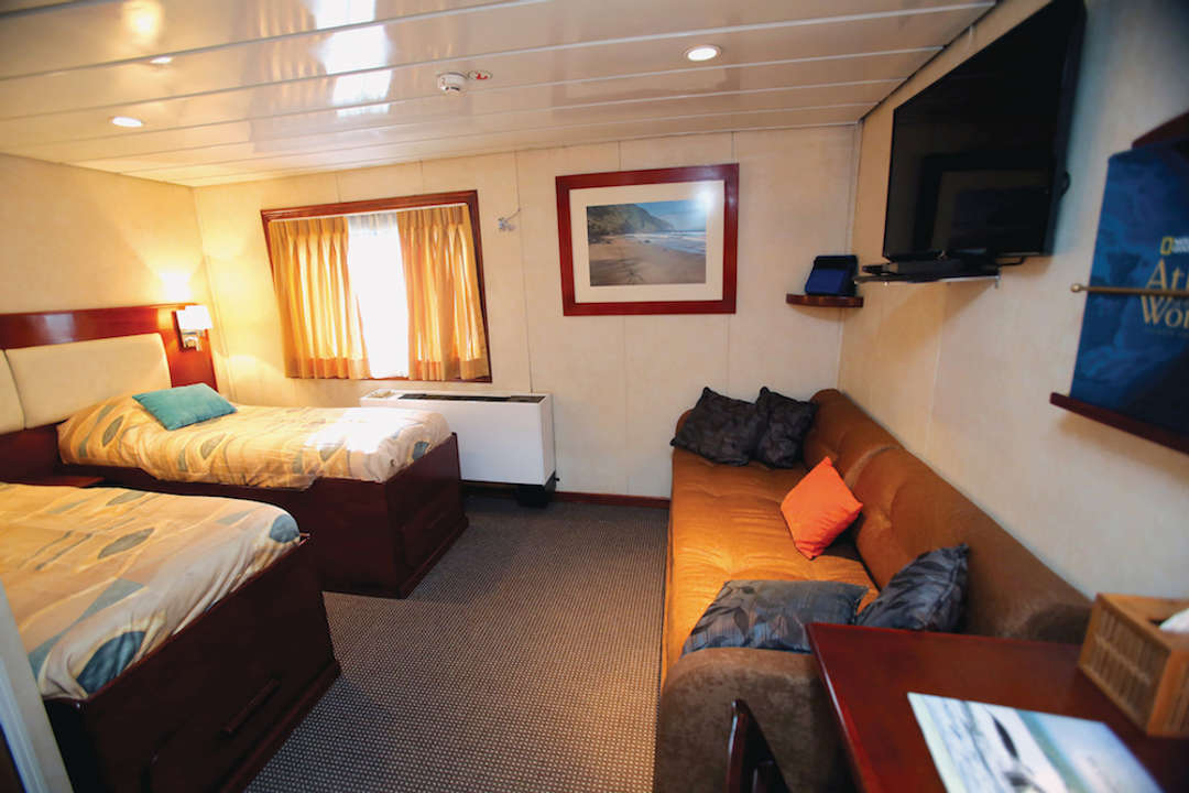 Jr. Commodore Suite - Safari Voyager