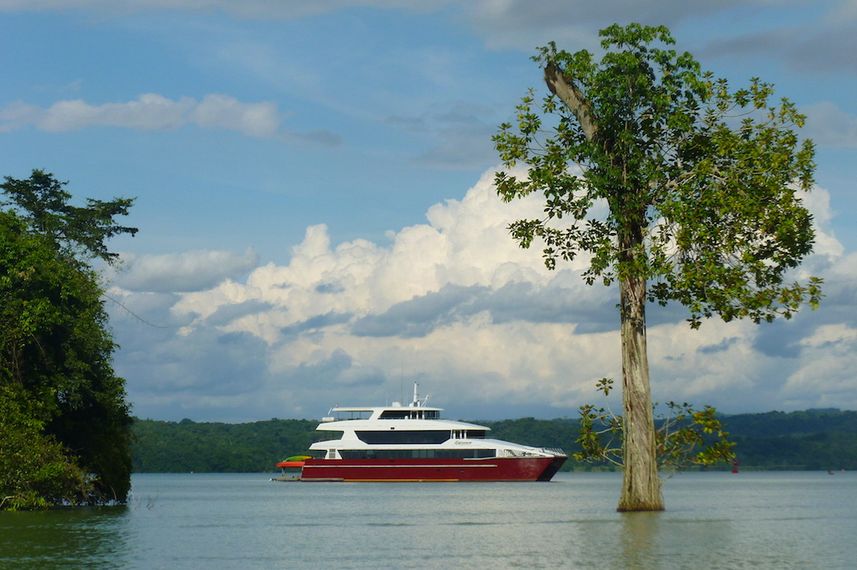 Discovery in Barro Colorado Panama
