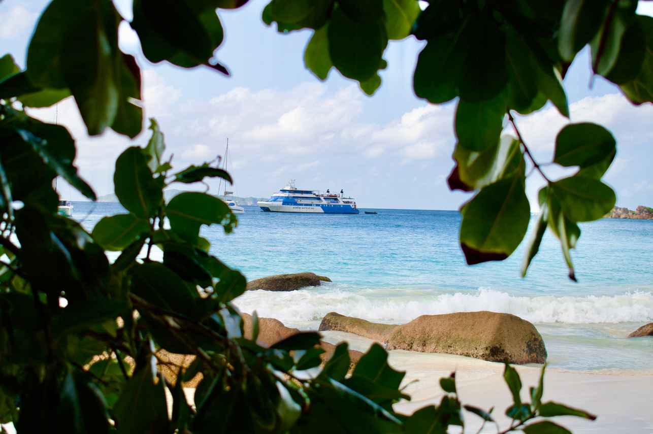 #islandexploration - Pegasus