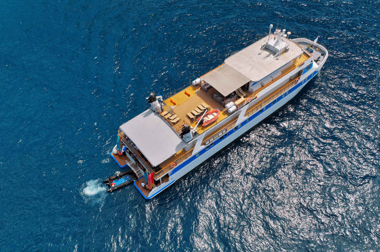 #aerialview - Pegasus