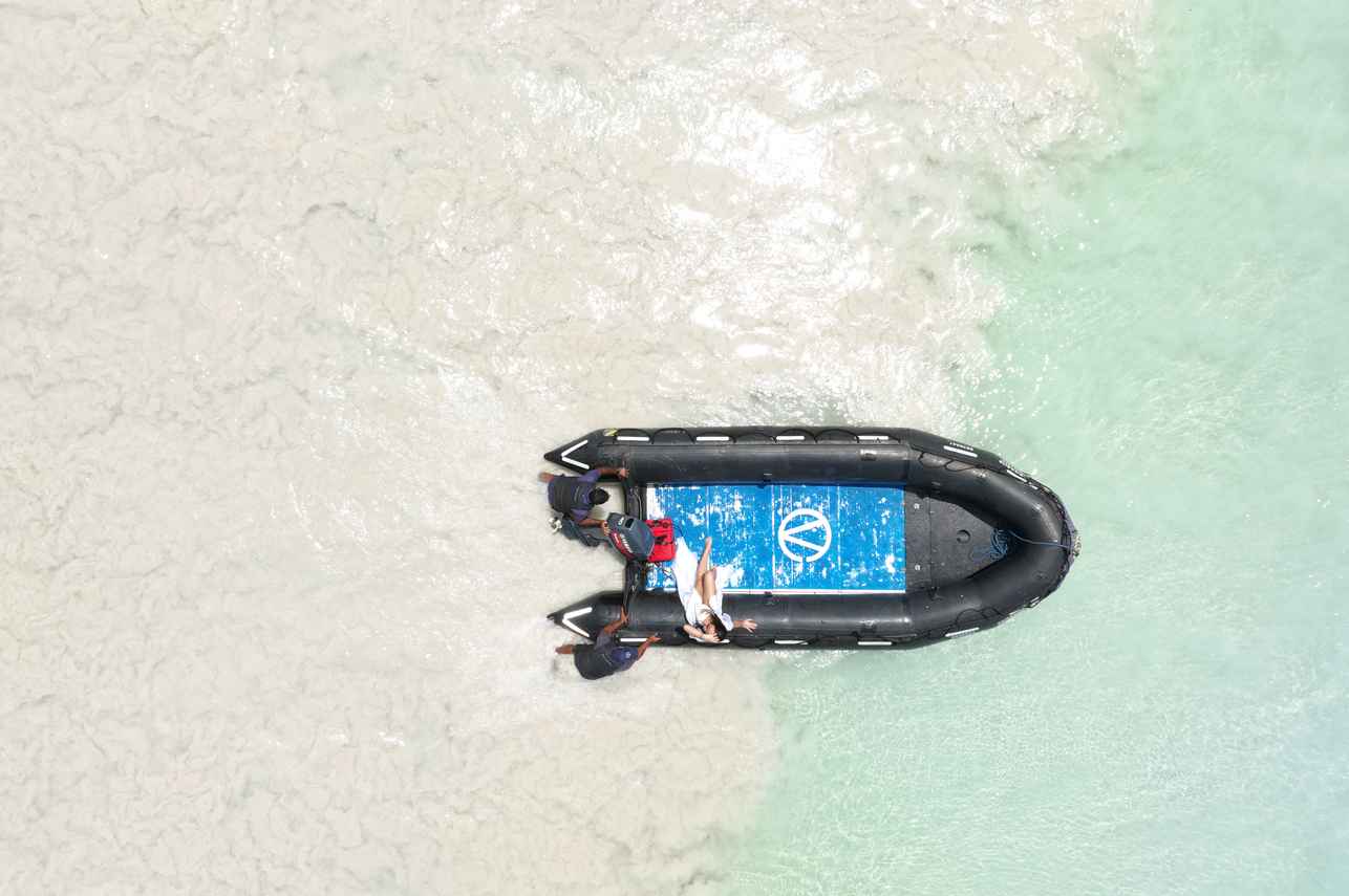 #divingdhoni - Pegasus