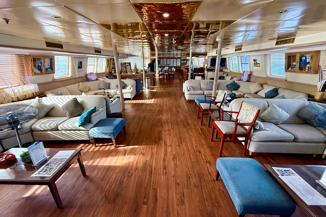 #indoorsaloon - Pegasus