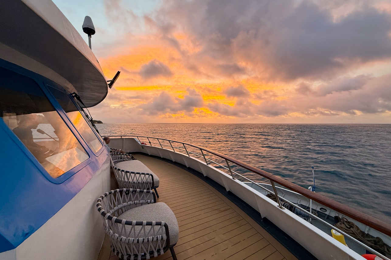 #observationdeck - Pegasus