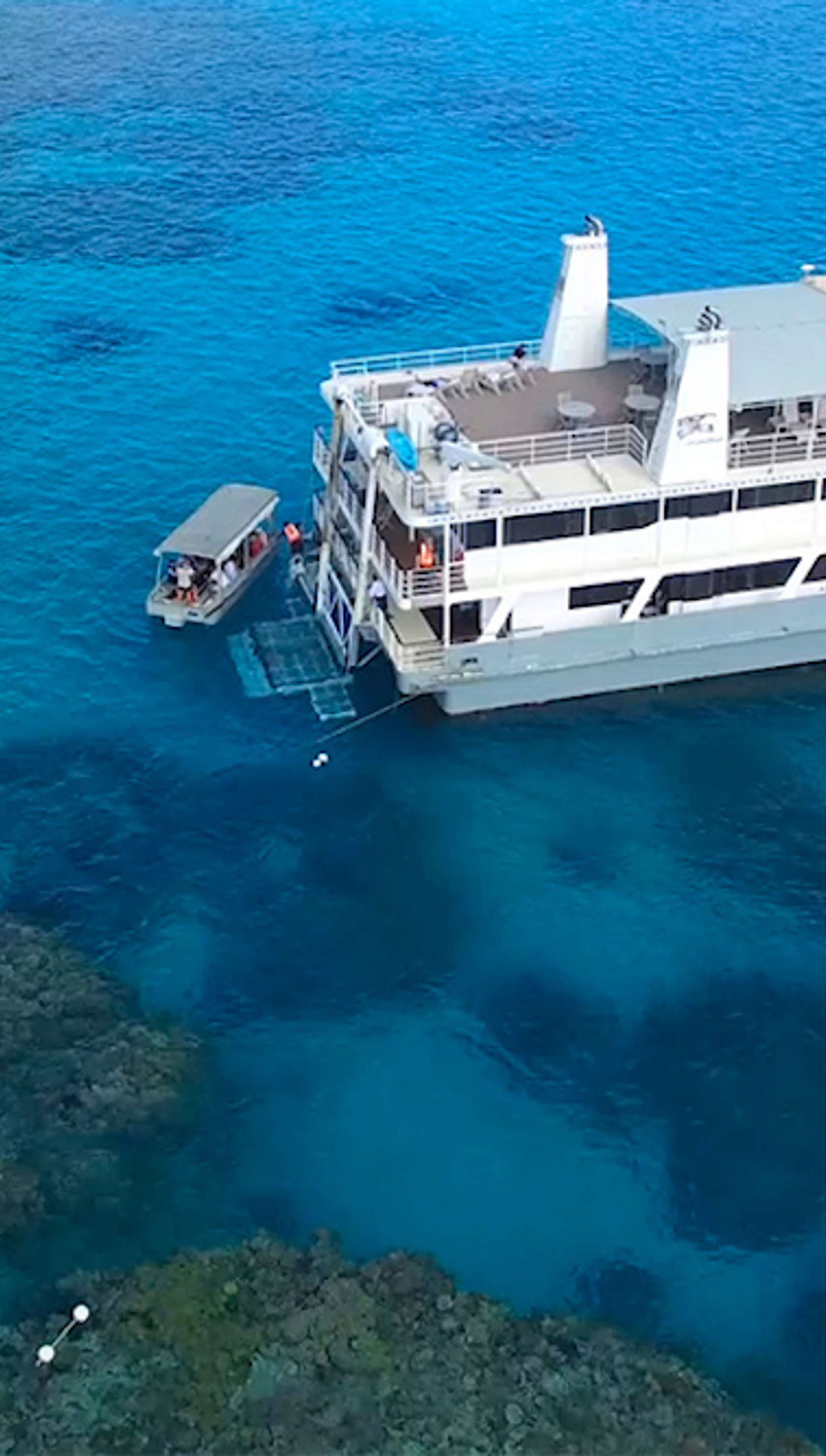 Coral Expeditions II