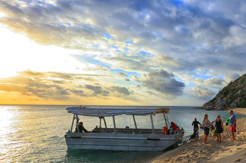 Beach Excursion - Stateroom - Coral Expeditions II 