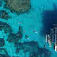 Snorkelling the GBR