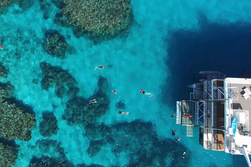 Snorkelling the GBR