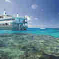 Snorkelling the Great Barrier Reef
