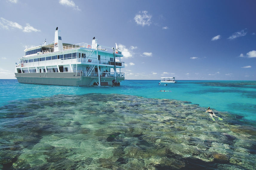 Snorkelling the Great Barrier Reef