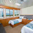 Twin Deluxe Stateroom - Stateroom - Coral Expeditions II 