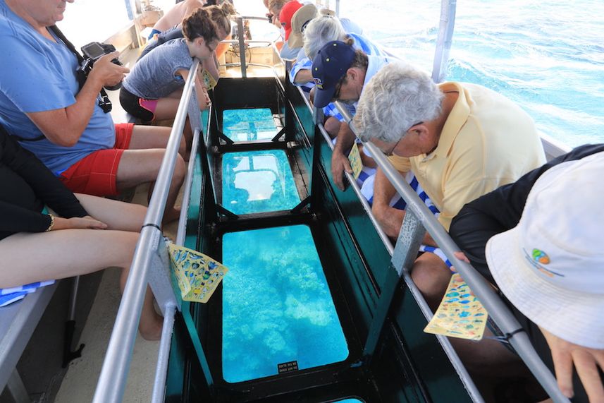 Glass Bottom Boat Excursion - Stateroom - Coral Expeditions II 