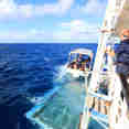 Glass Bottom Boat Setting Off - Coral Expeditions II