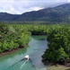 Rainforest Tour - Coral Expeditions II