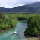 Rainforest Tour - Coral Expeditions II