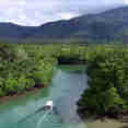 Rainforest Tour - Coral Expeditions II