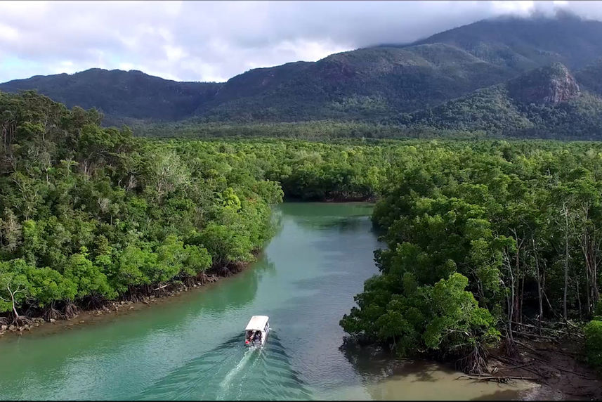 Rainforest Tour - Coral Expeditions II