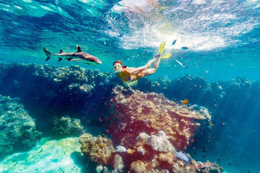 Snorkelling  - Fiji Princess