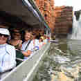 Up close to the King George Falls