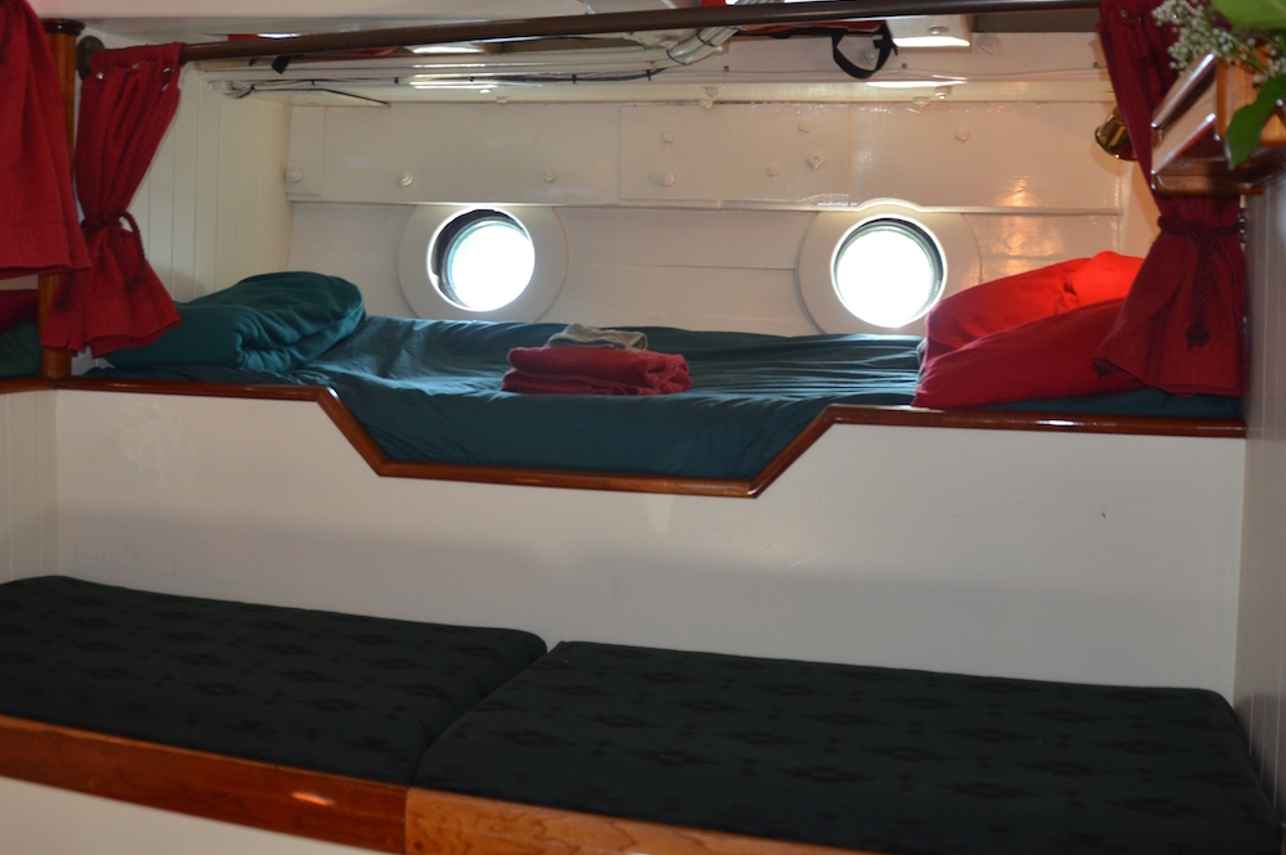 Cabin 5 
