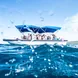 Glass bottom boat