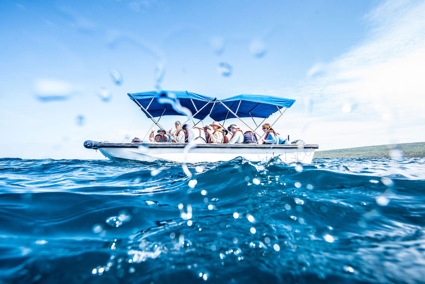 Glass bottom boat